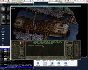 Icewind Dale 2 on Ubuntu 7.10